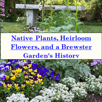 Garden Workshop