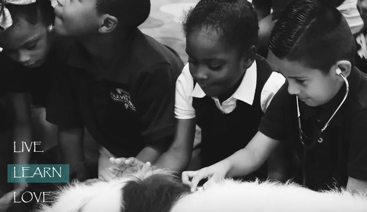humane education banner.jpg
