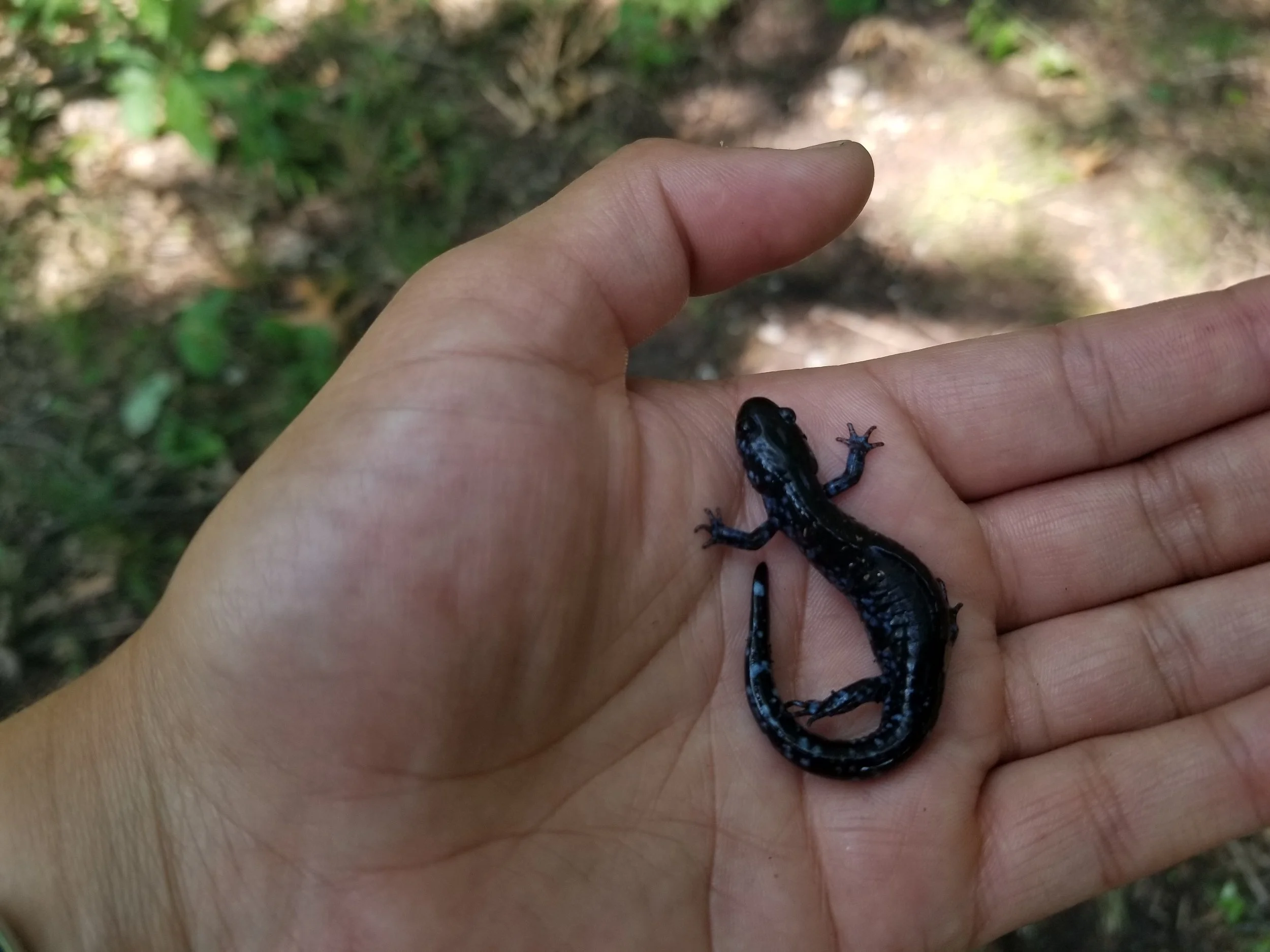 20190723_151312.jpg