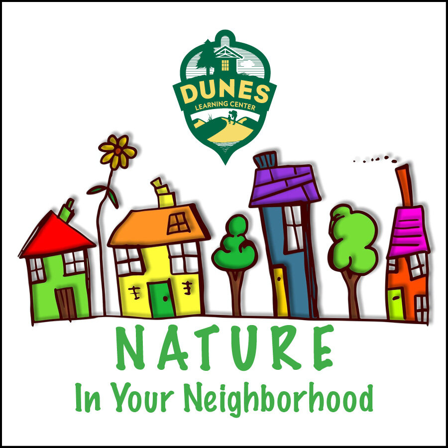 Nature In Your Neighborhood