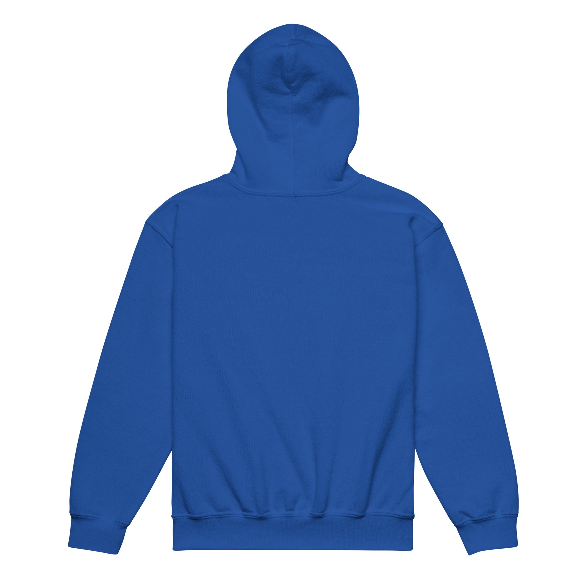 youth-heavy-blend-hoodie-royal-back-6a04e57c15917.jpg