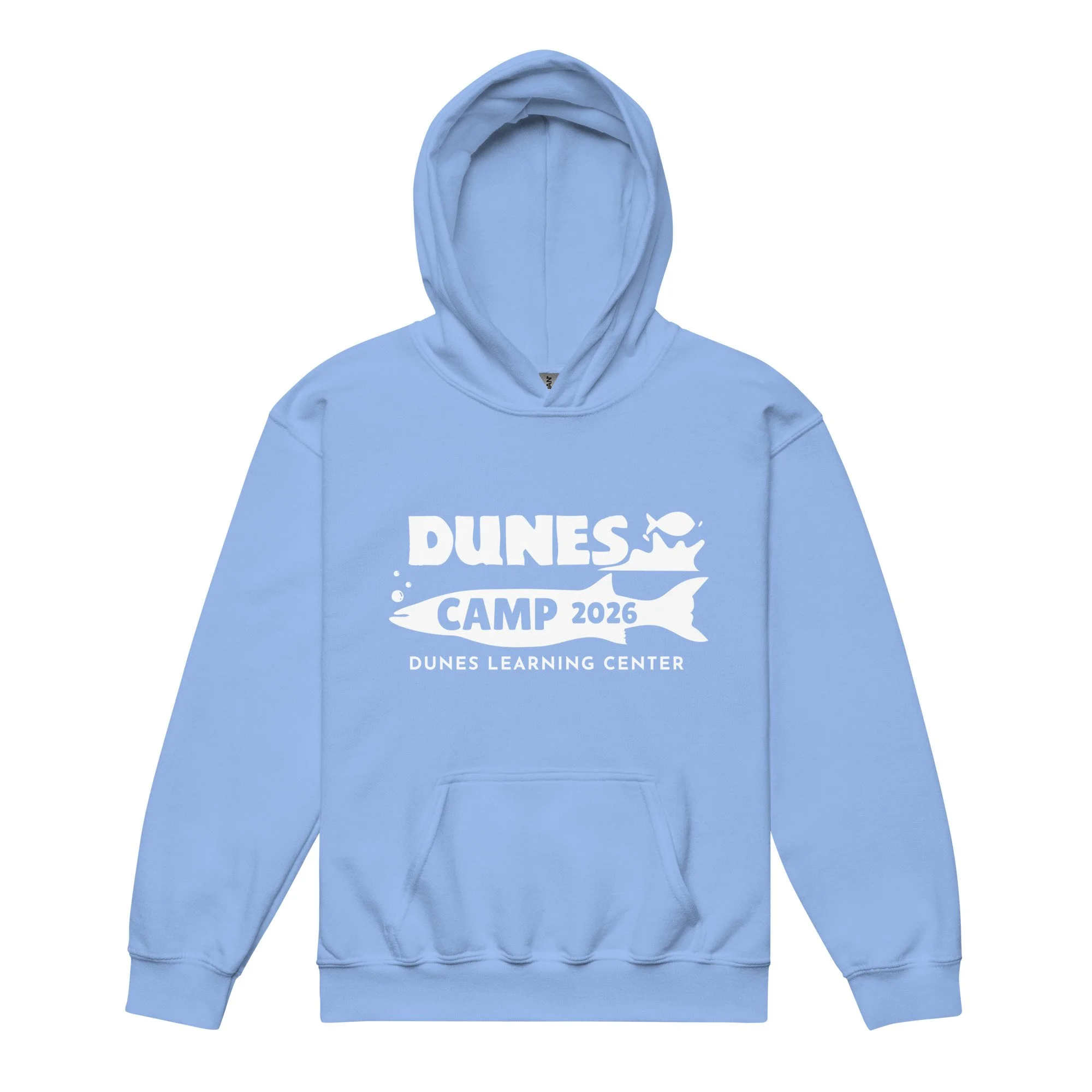 youth-heavy-blend-hoodie-carolina-blue-front-6a04e57c15c86.jpg