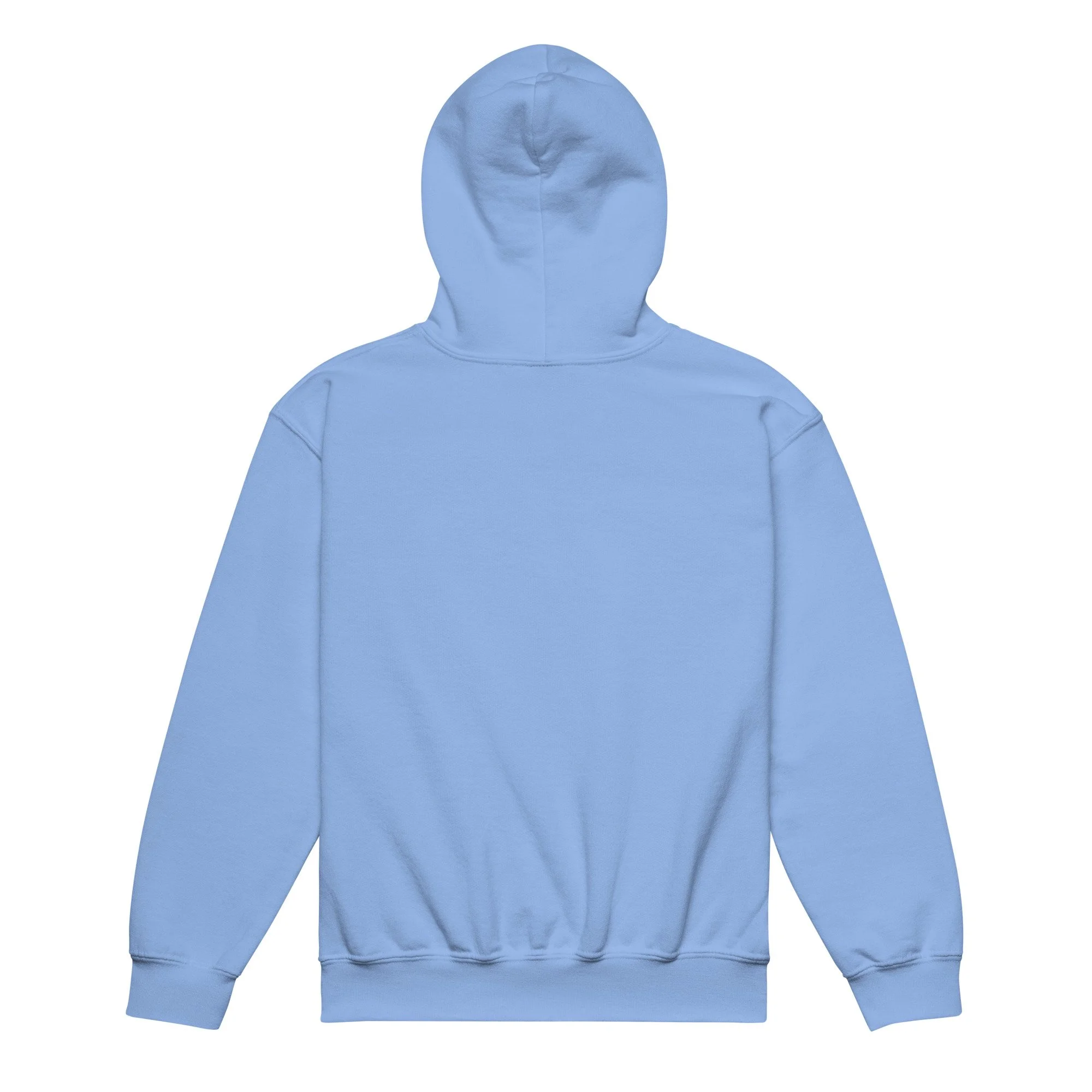 youth-heavy-blend-hoodie-carolina-blue-back-6a04e57c16087.jpg