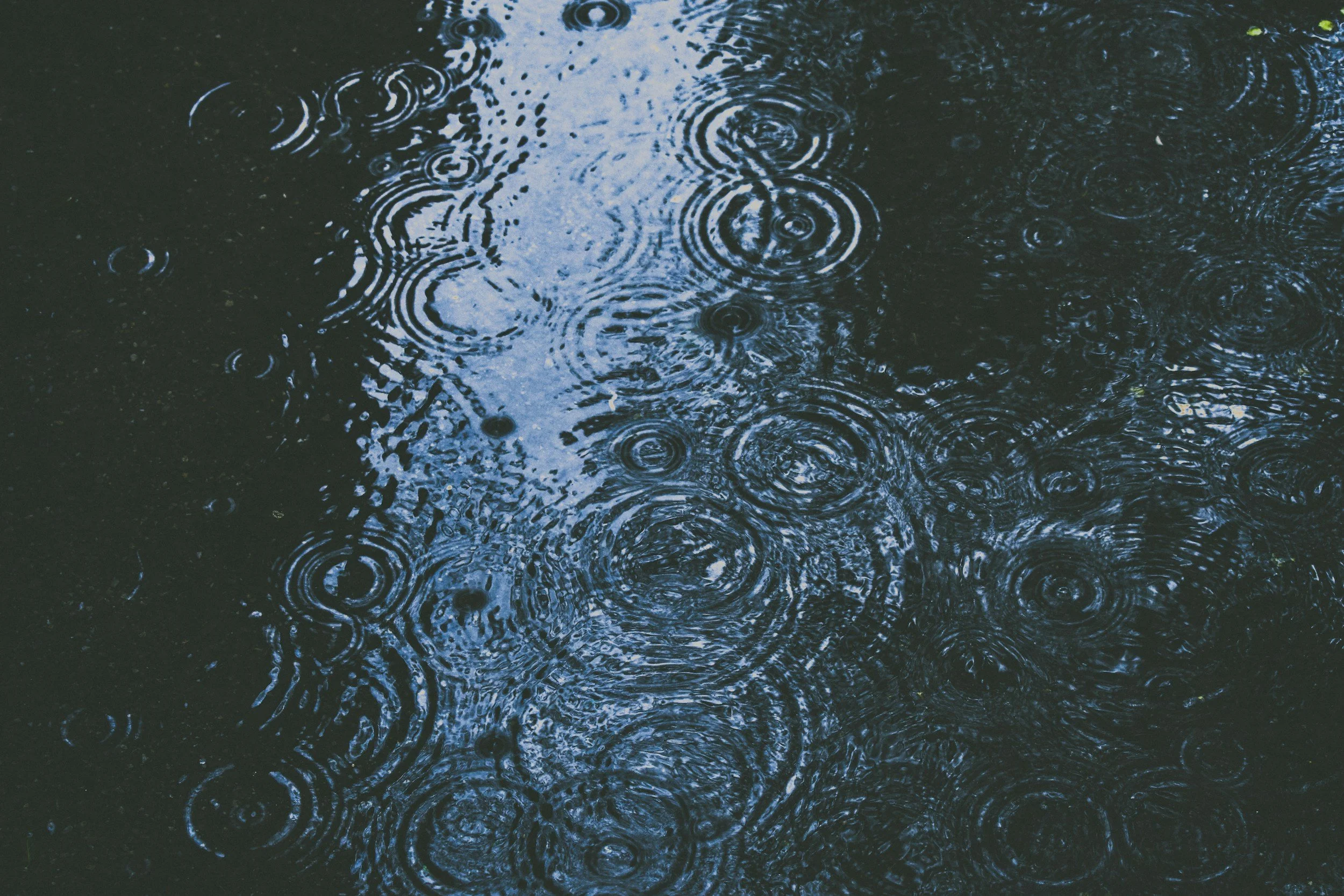 unsplash-image-ZxZQk7777R4.jpg