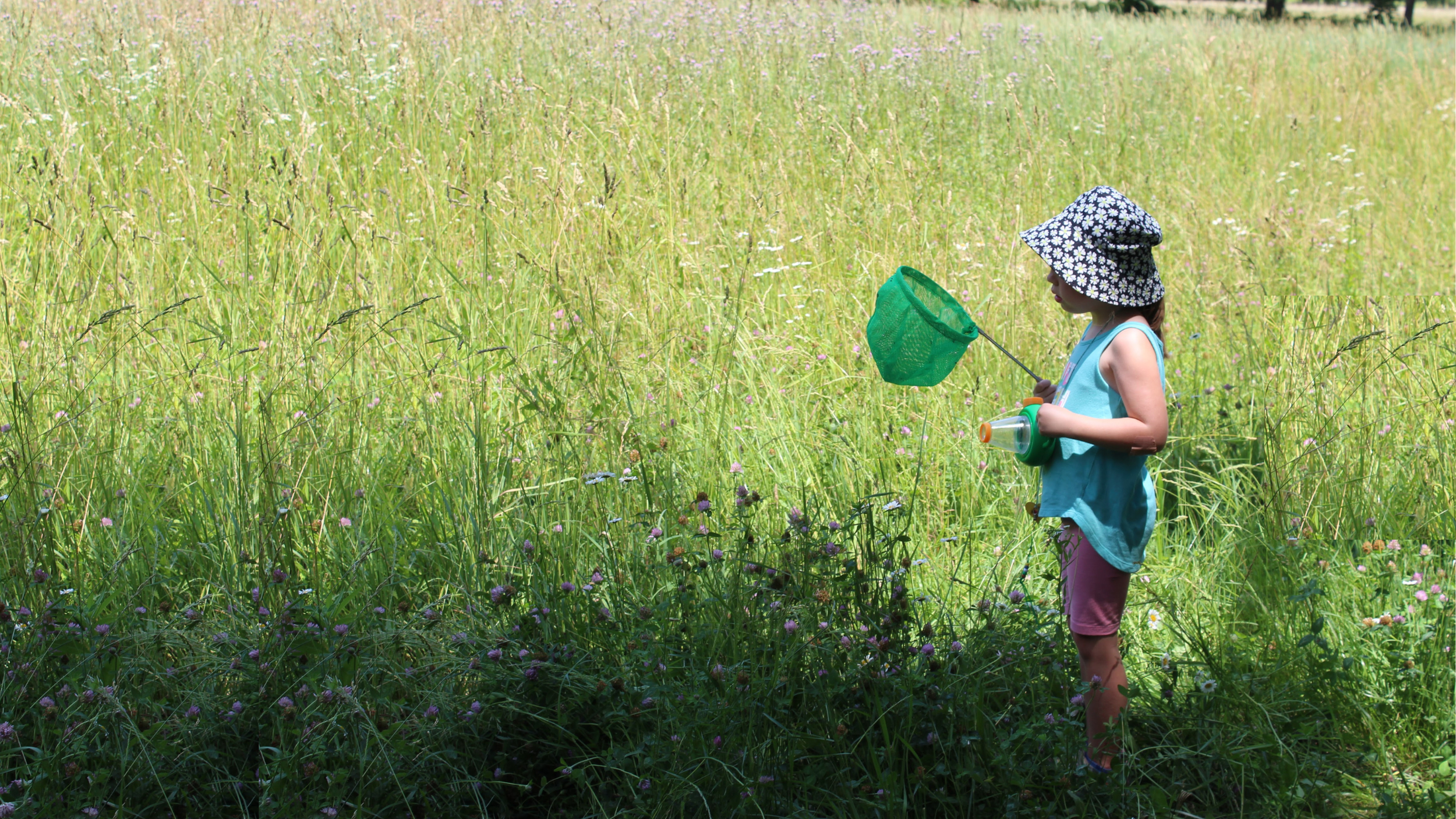 Website Banner Day Camp .png