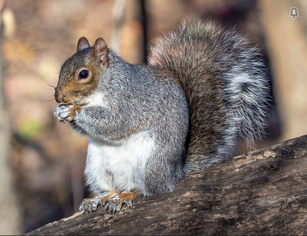 Screenshot 2026-02-25 at 2.24.38 PM.png