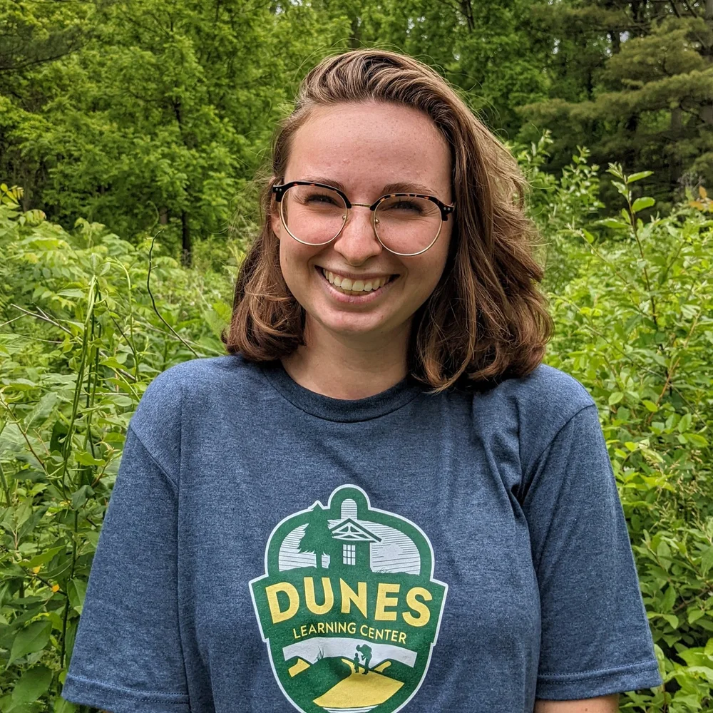Dunes Learning Center Crinoids, Fossils, and Other Indiana Dunes