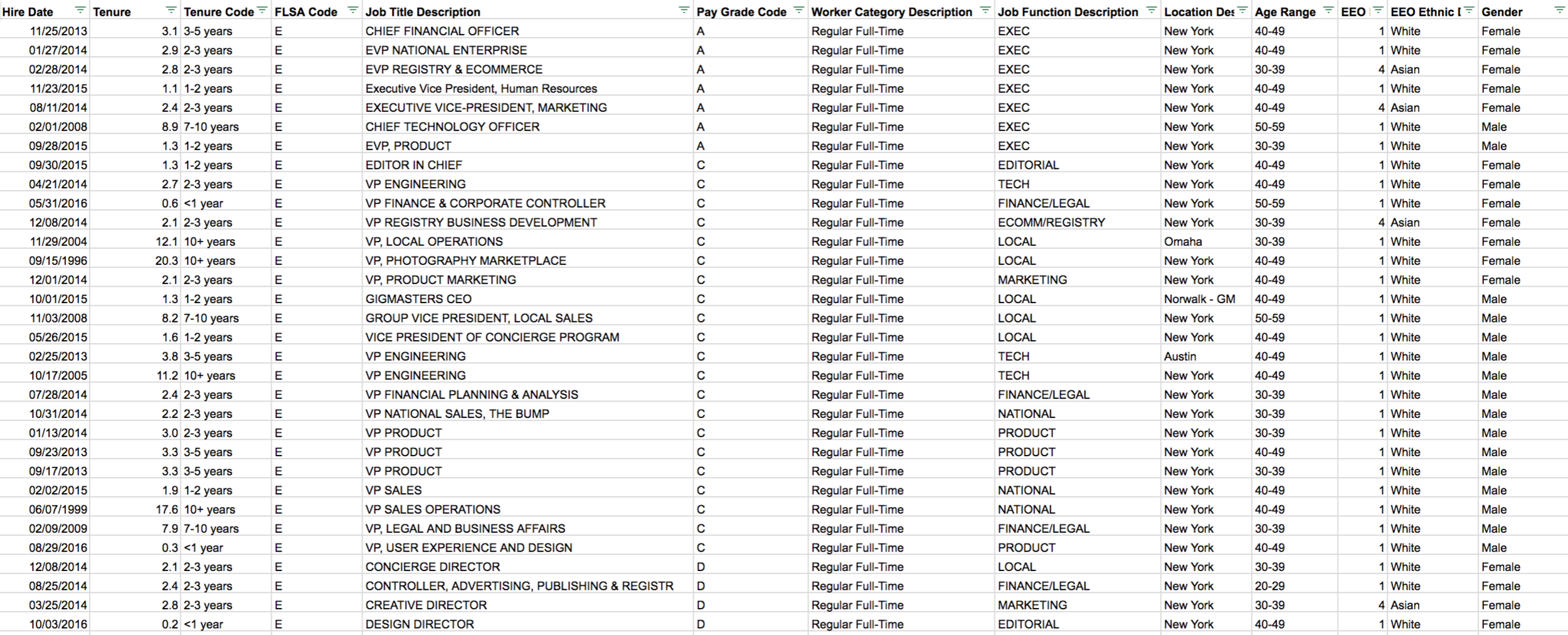 What the raw data looked like from an HRIS export