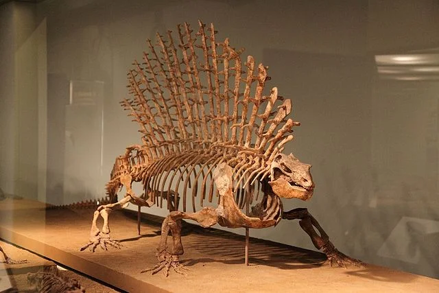Image from Wikipedia