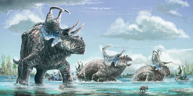 Machairoceratops cronusi. Credit: Mark Witton
