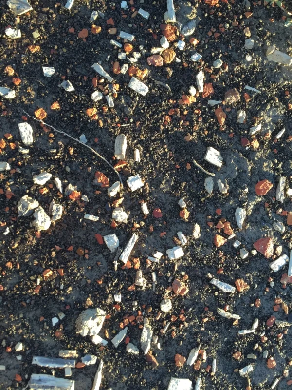 At some places in Bisti, the ground is covered with coal dust. The white flakes in this picture are bits of 75 million year old petrified wood that have eroded out of the coal. The red pieces are clinkers--bits of overlying sedimentary rock that was burned in some prehistoric underground coal fire.