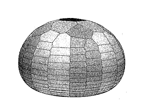 A virtual sea-urchin test constructed using Zachos' model (from Zachos & Sprinkle 2011 )
