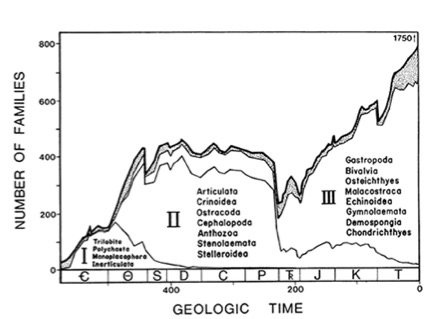 “A Kinetic Model of Phanerozoic Taxonomic Diversity: III. Post-Paleozoic Families and Mass Extinctions” Paleobiology 10 (1984).