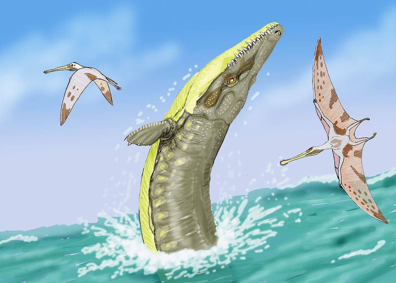 Dimitry Bogdanov's reconstruction of Dakosaurus maximus , a representative Thalattosuchian. Not a crocodile.