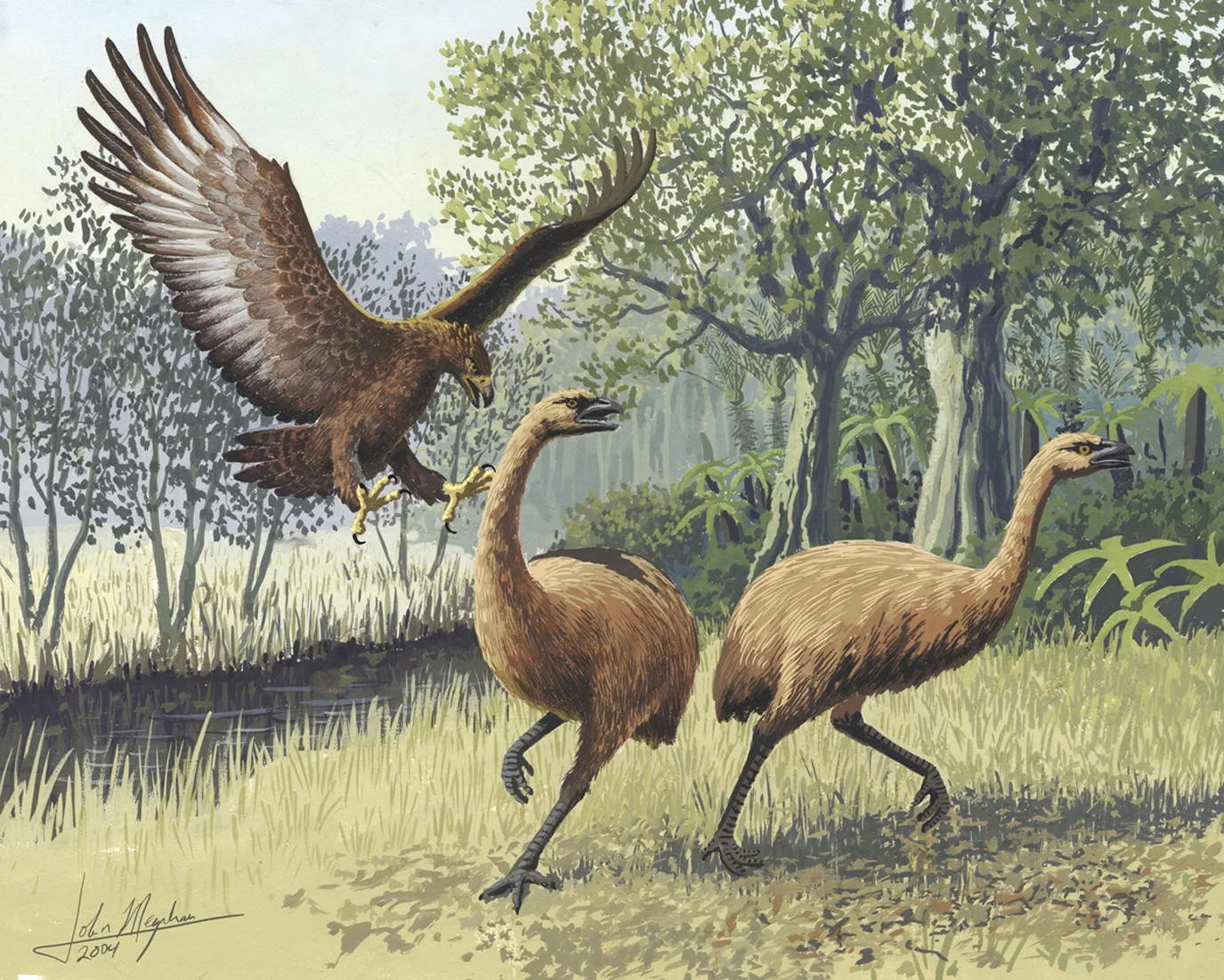 Aotearoa circa 500 A.D.