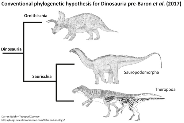 Image from the Tetrapod Zoology blog .