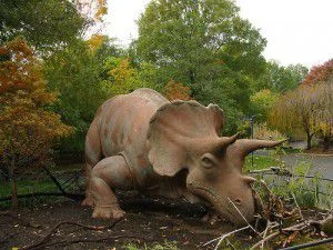 Beazley at the zoo.jpg