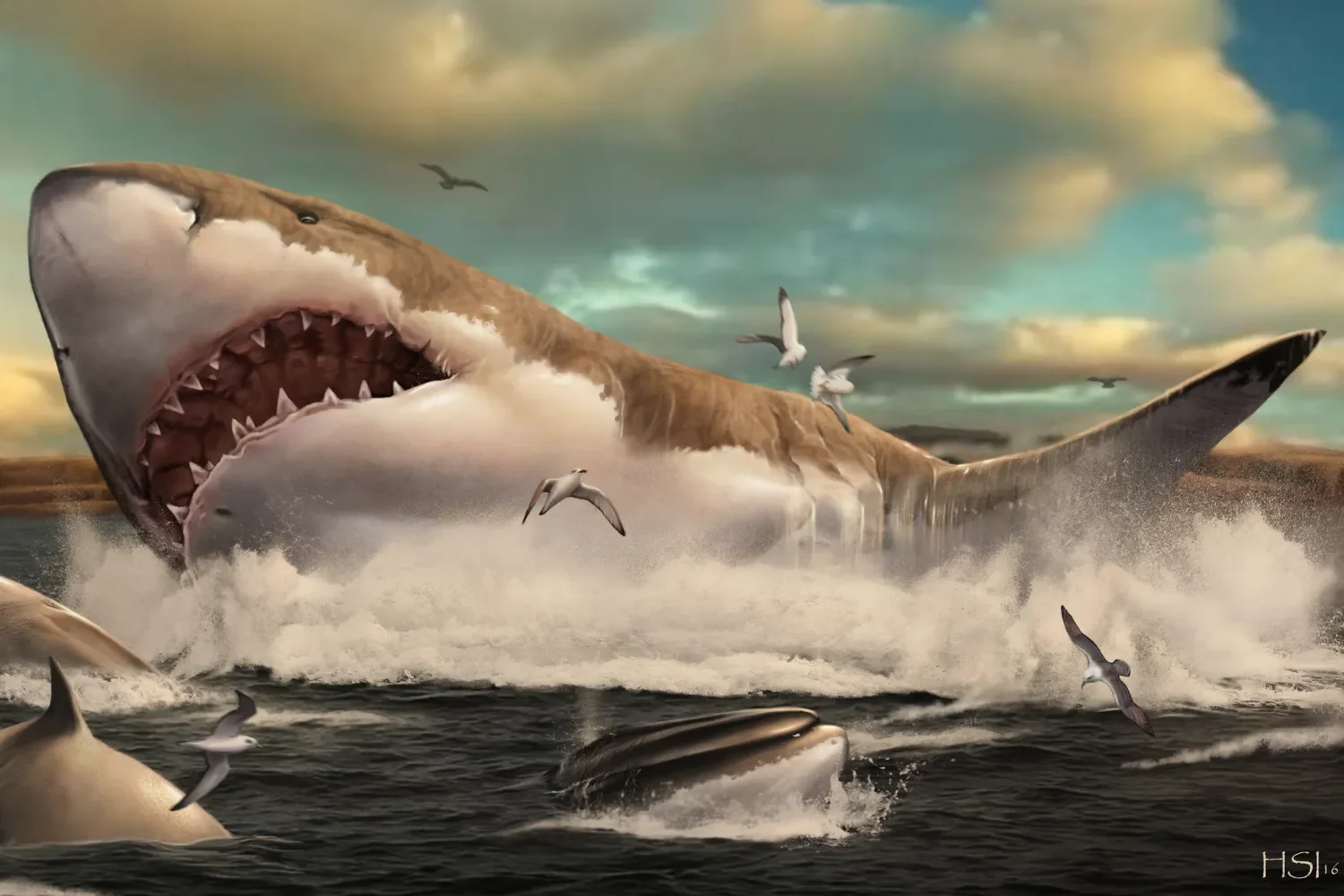 From the Archive: Comparisons with Teeth