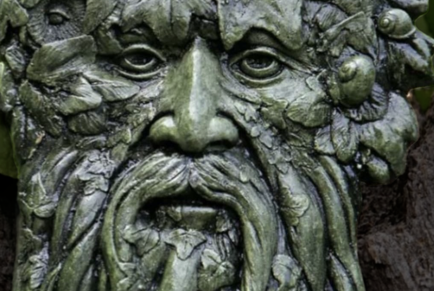 Darwinizing Gaia: a progress report and evaluation