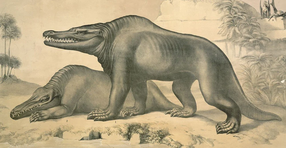 The Weird Early History of Paleontology: Robert Plot and Scrotum ...