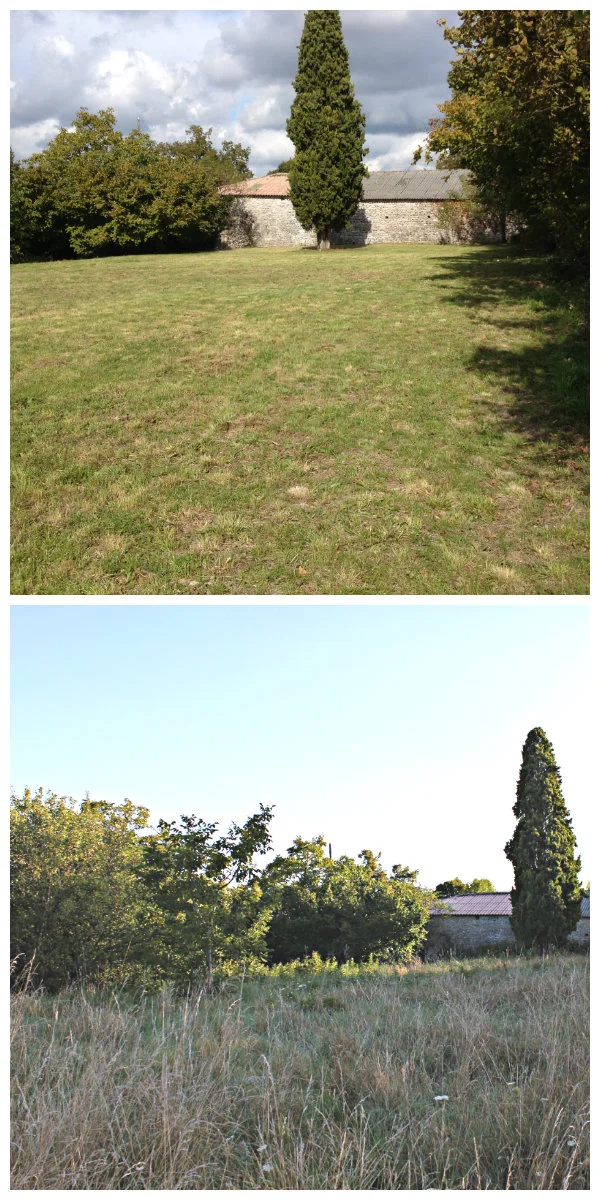  The Playing Field. Top picture autumn 2015, bottom picture autumn 2014.