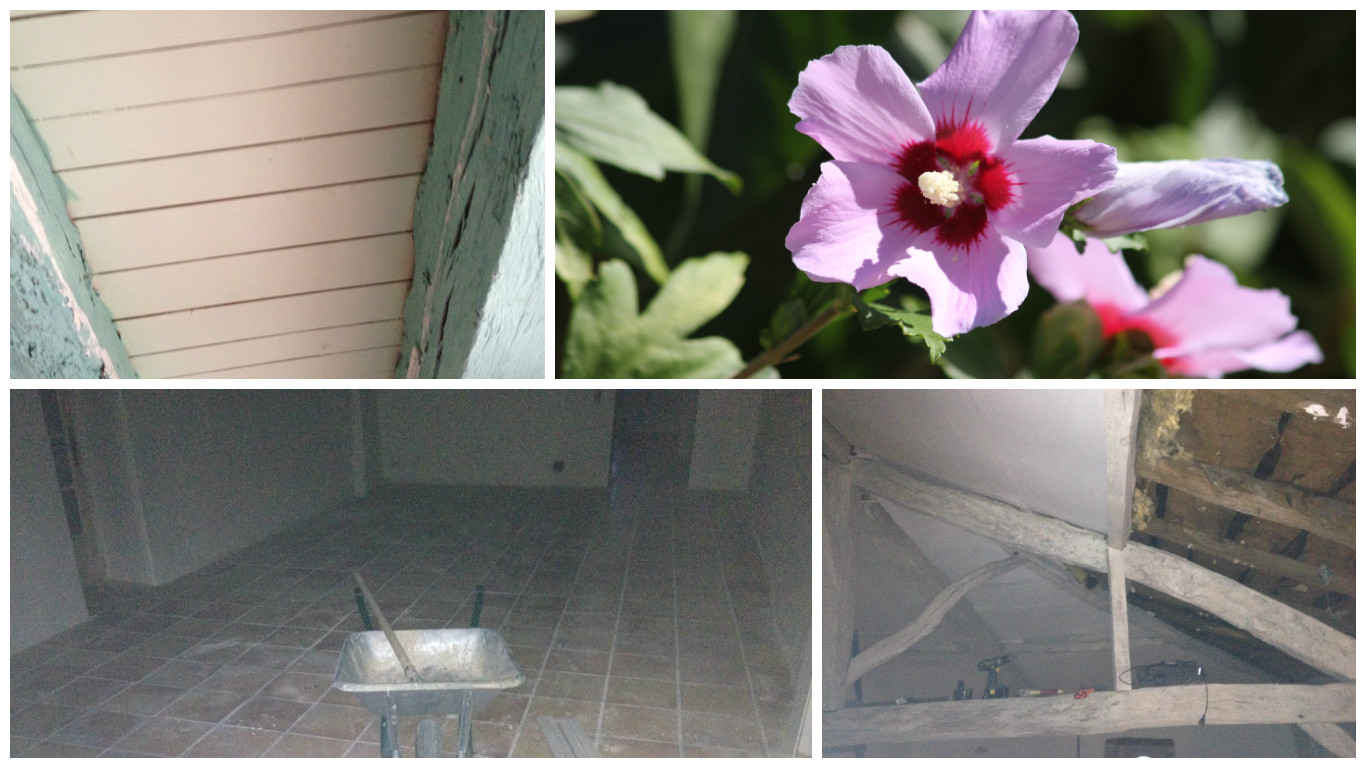 1. Top left, the beams in the summer kitchen before sandblasting. 2. Top right the hibiscus in the garden (to add colour to the picture again). 3. Bottom left the summer lounge. 4. The grenier.