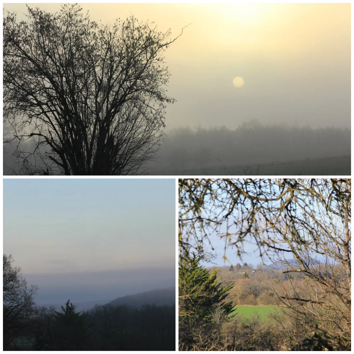 The sun breaking through the morning mist and northern views. January 2016.