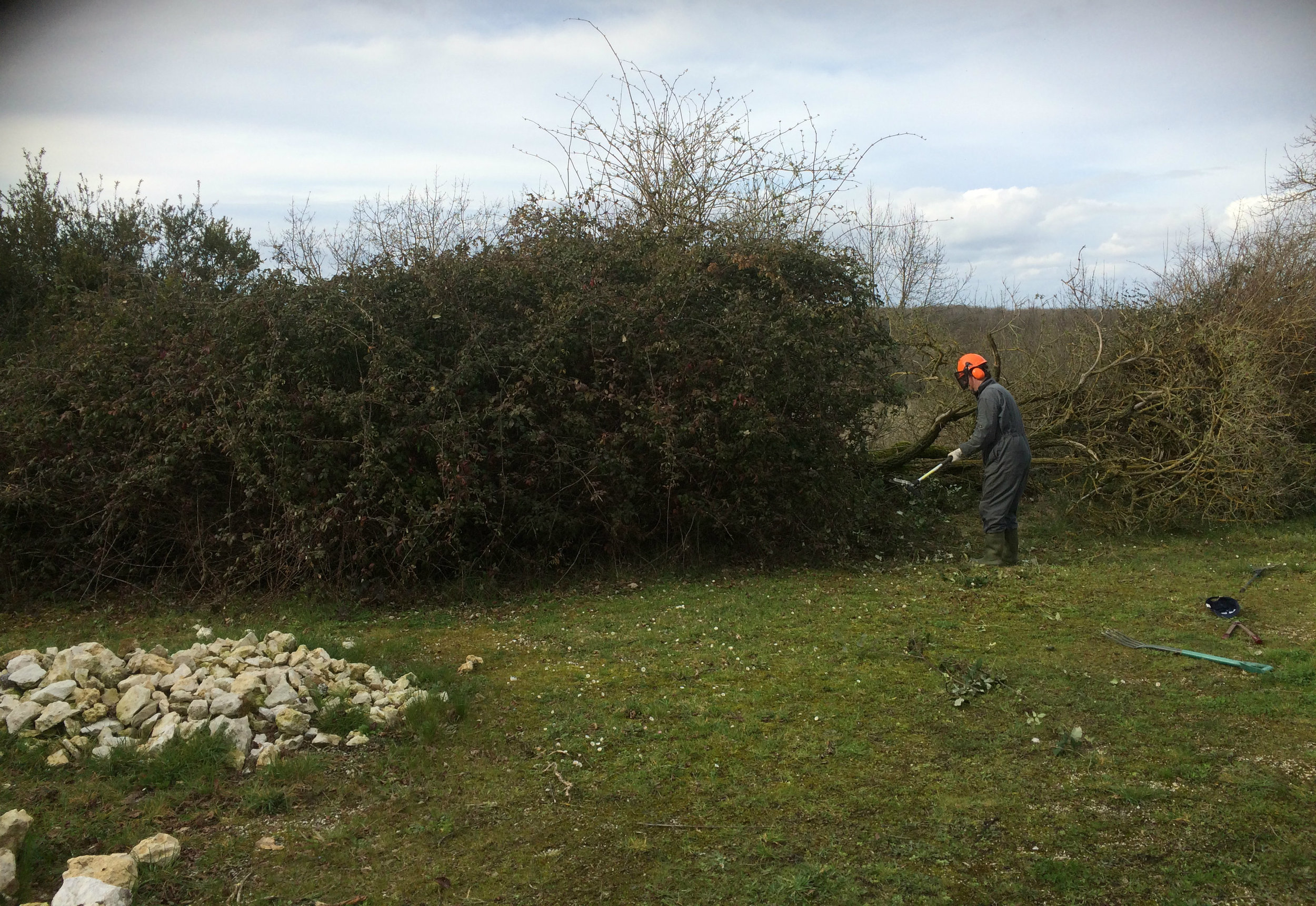 The bramble blitz. You can see where the tree has fallen on the right hand side. 24/02/16