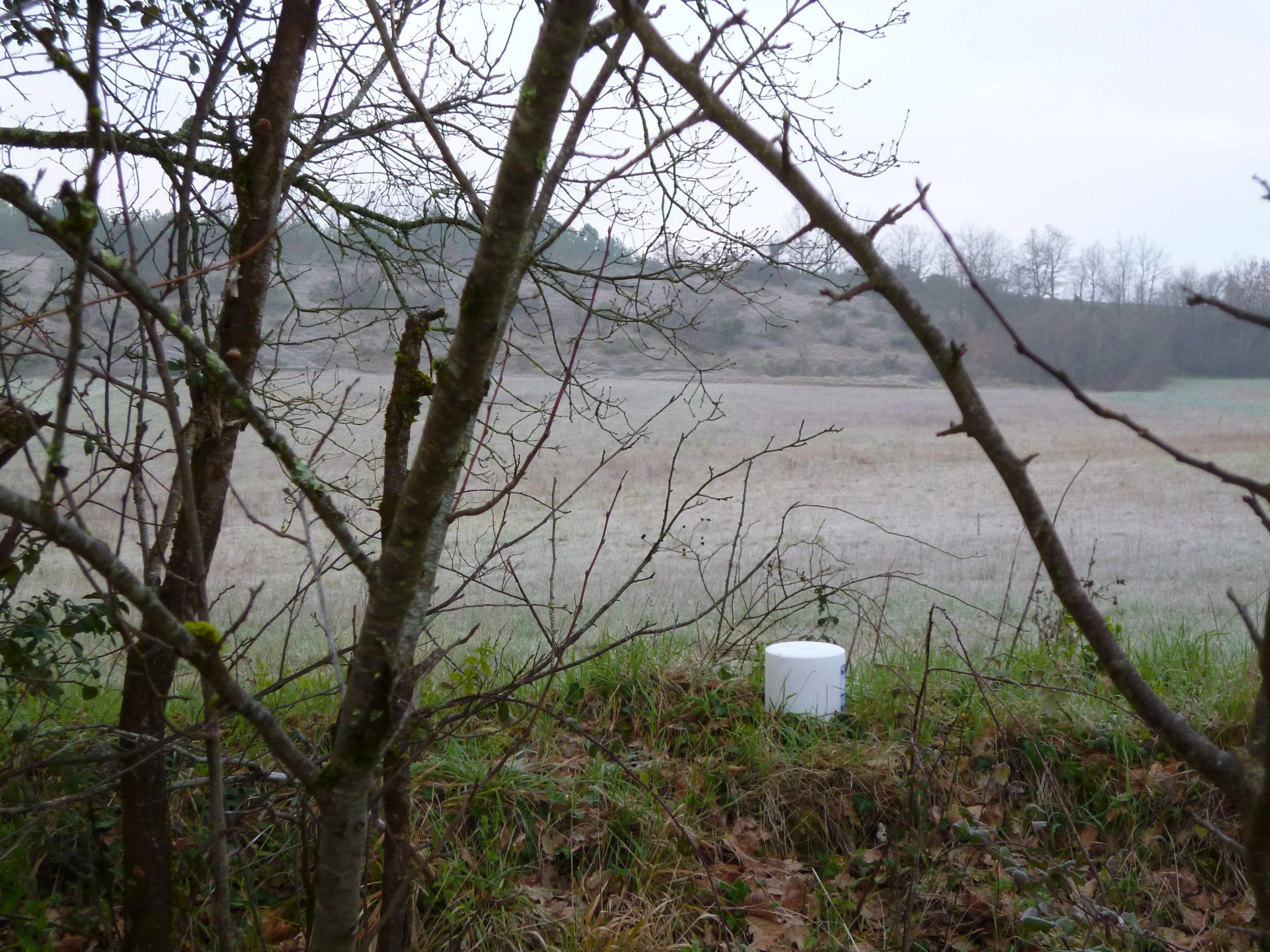 A salt lick, we hope that the deer with use it. Thanks JB for this top tip.