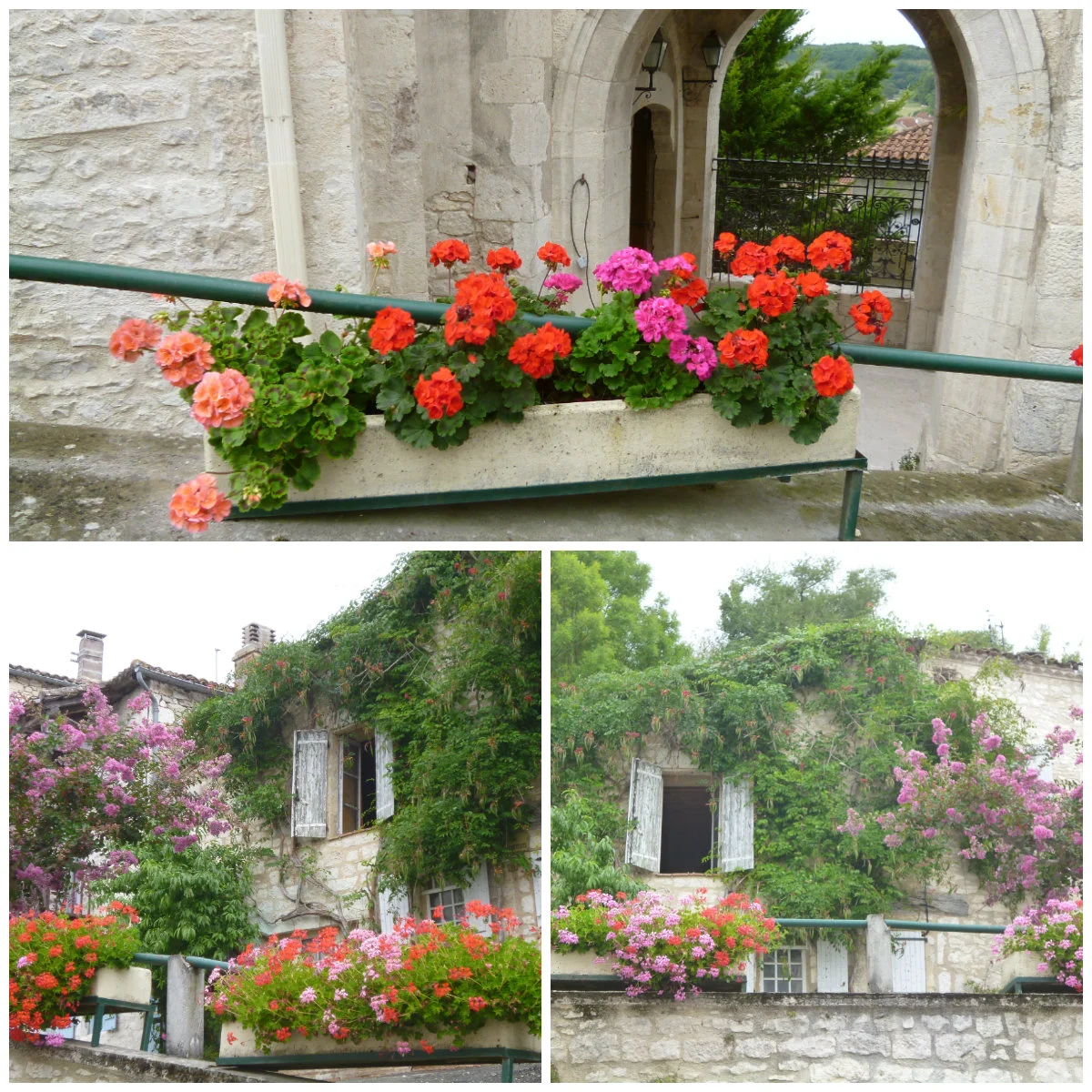 Some pictures from the summer. Near the Hotel de Ville, towards the top of the hill, Montaigu de Quercy.