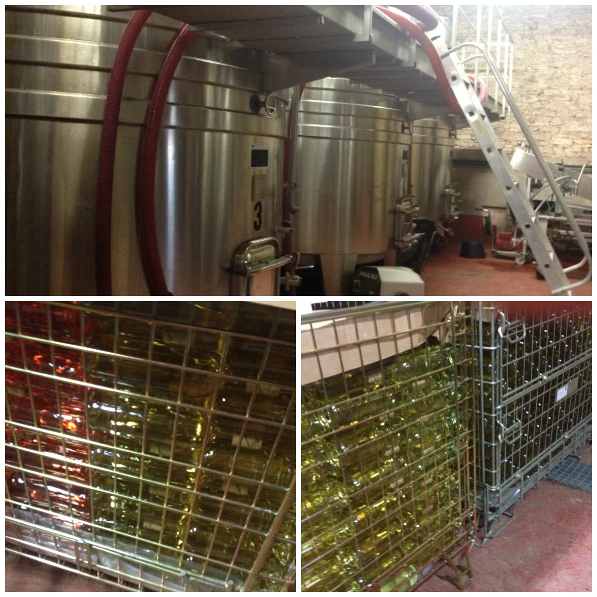Domaine de Lancement. In the winery. 