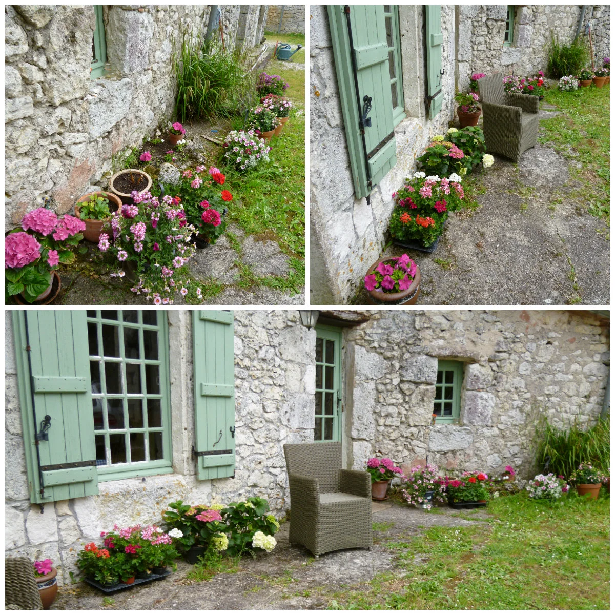 Flowers to pot.