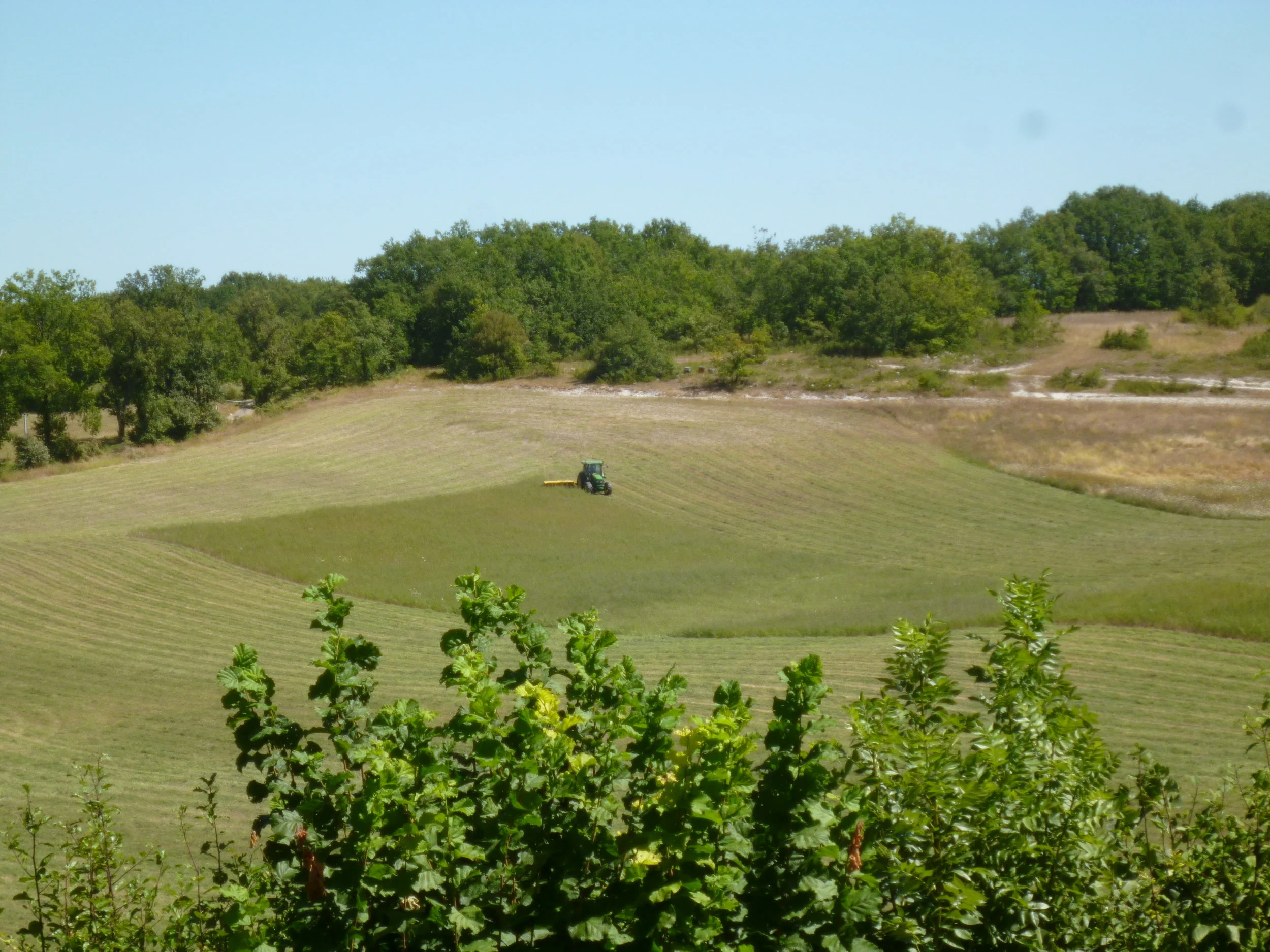 The view from the bolly, one man went to mow!!
