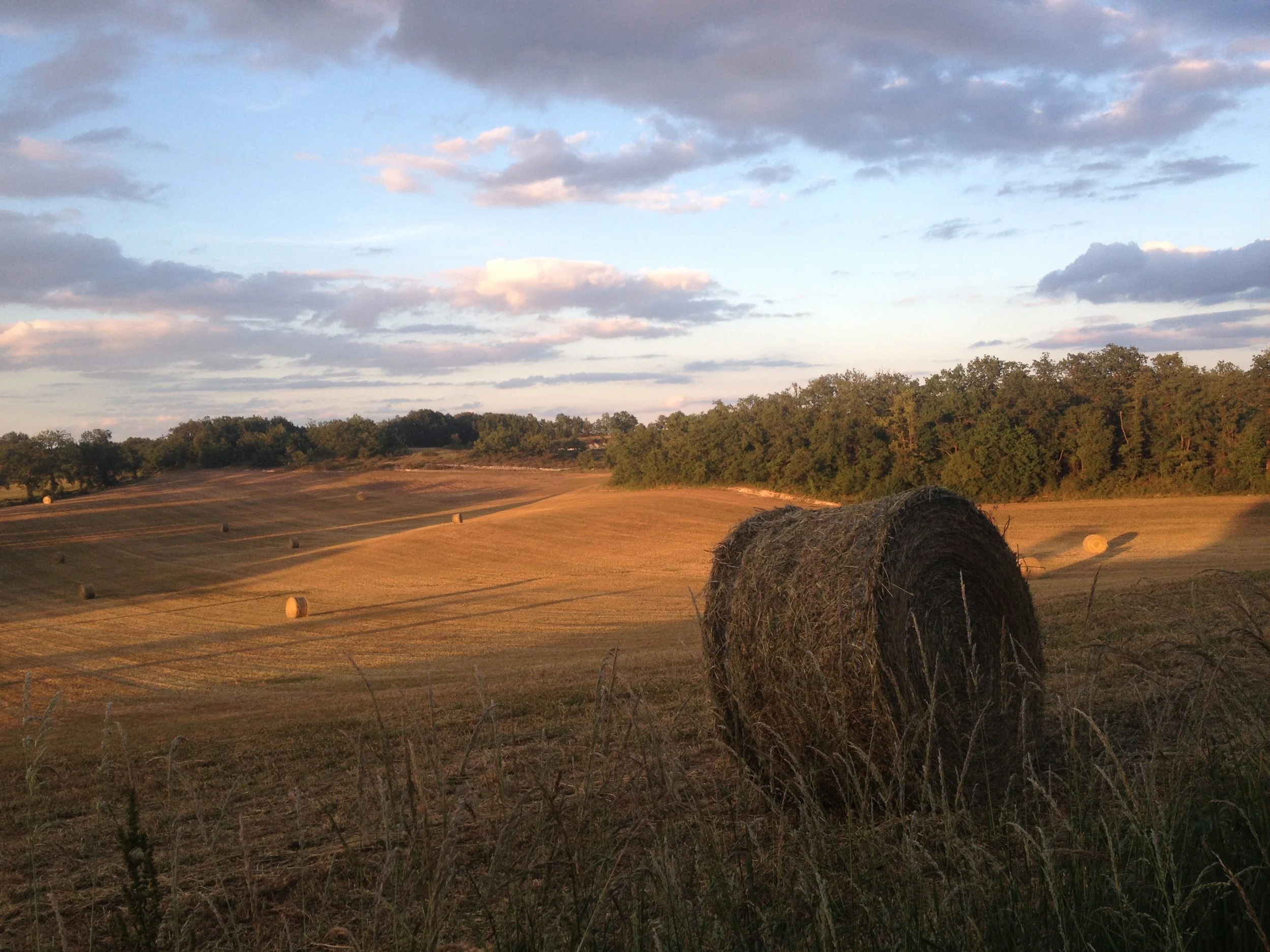Golden light on the "Bolly View" field.