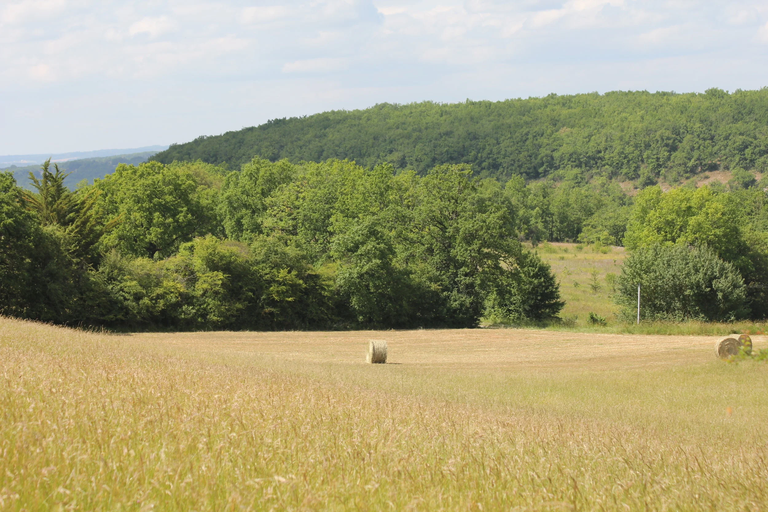 The big north field, 