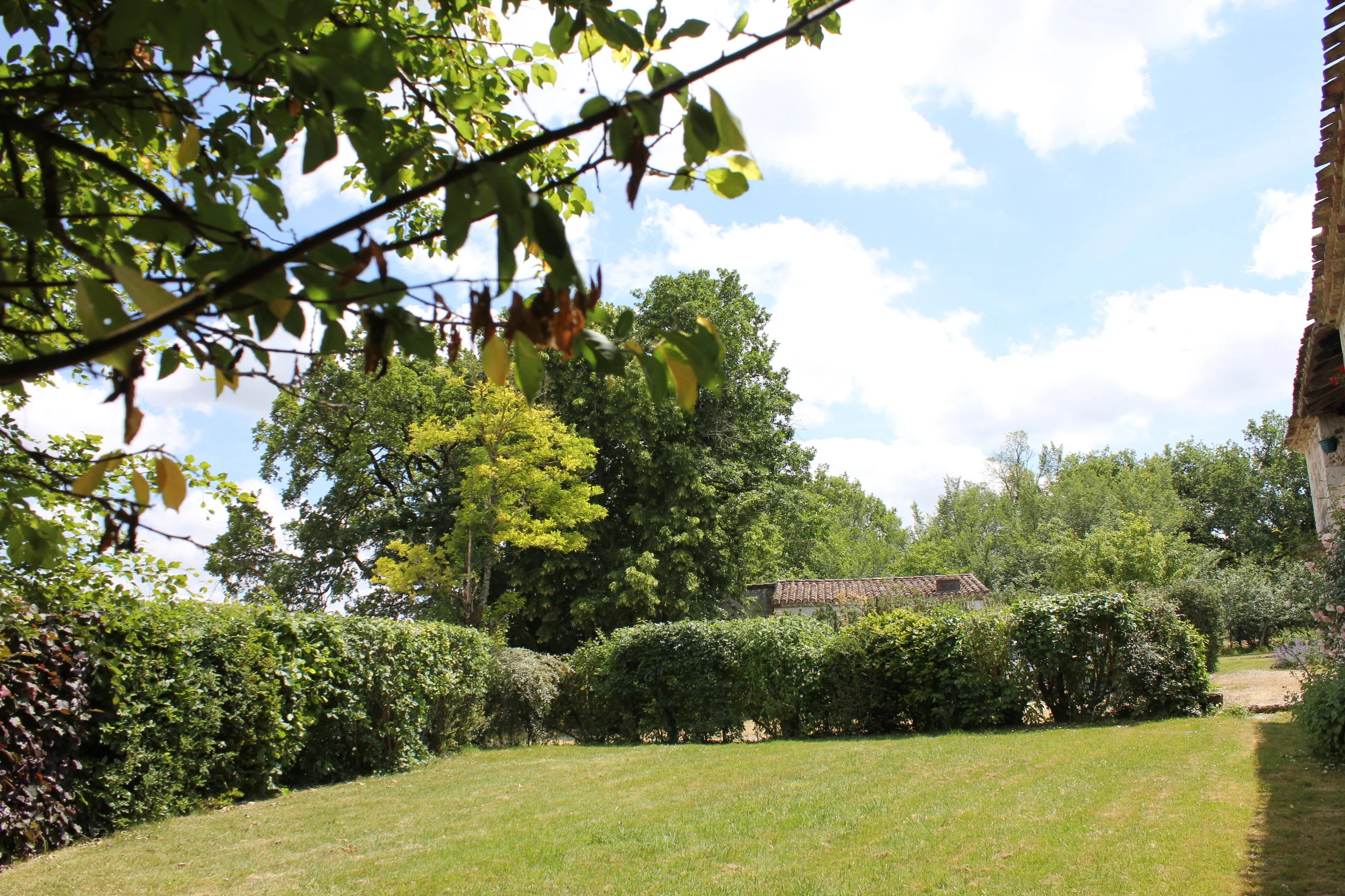 The east Lawn, the pool house roof just peeping above the hedge.