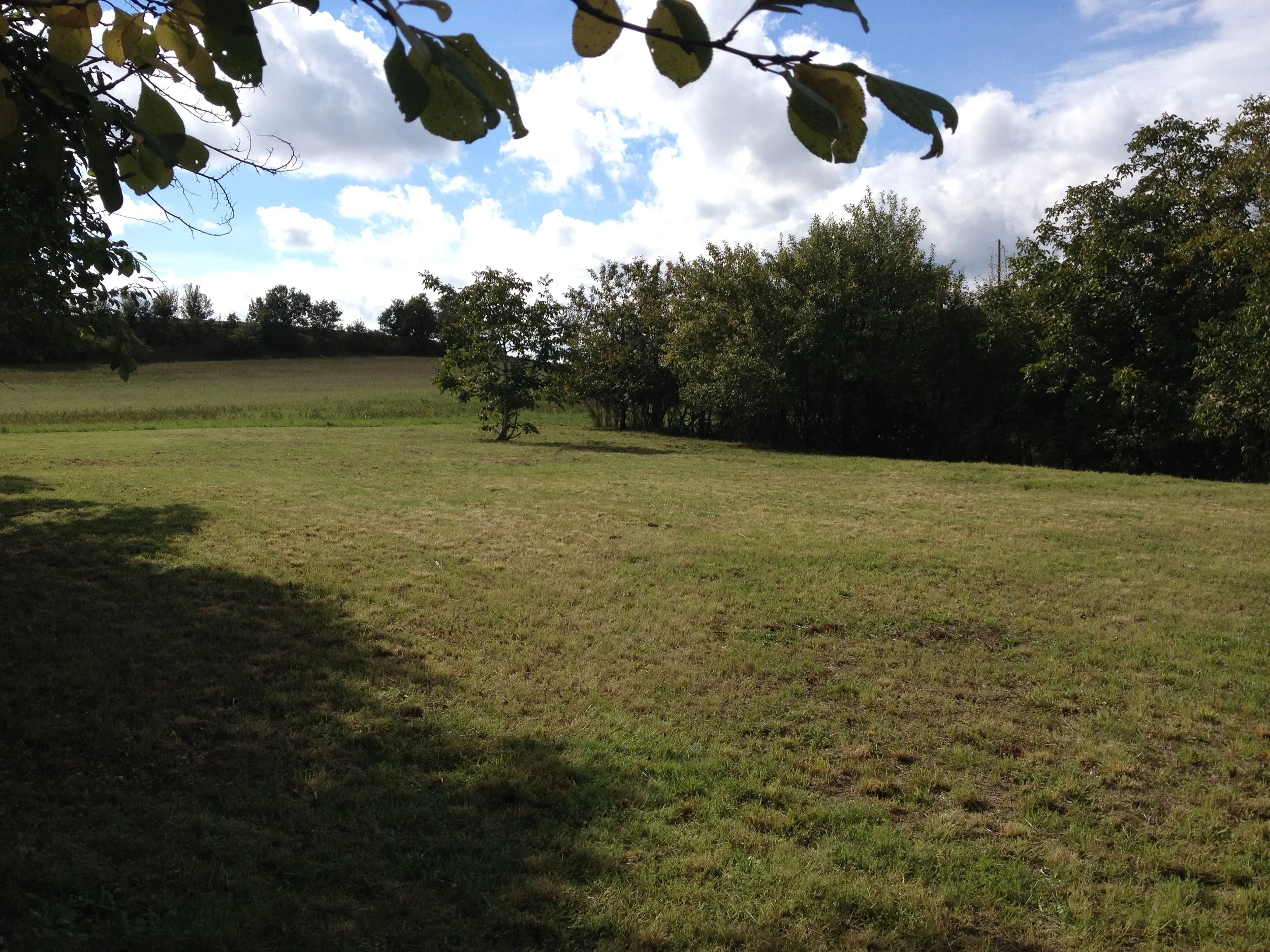 The playing field... anyone for cricket!