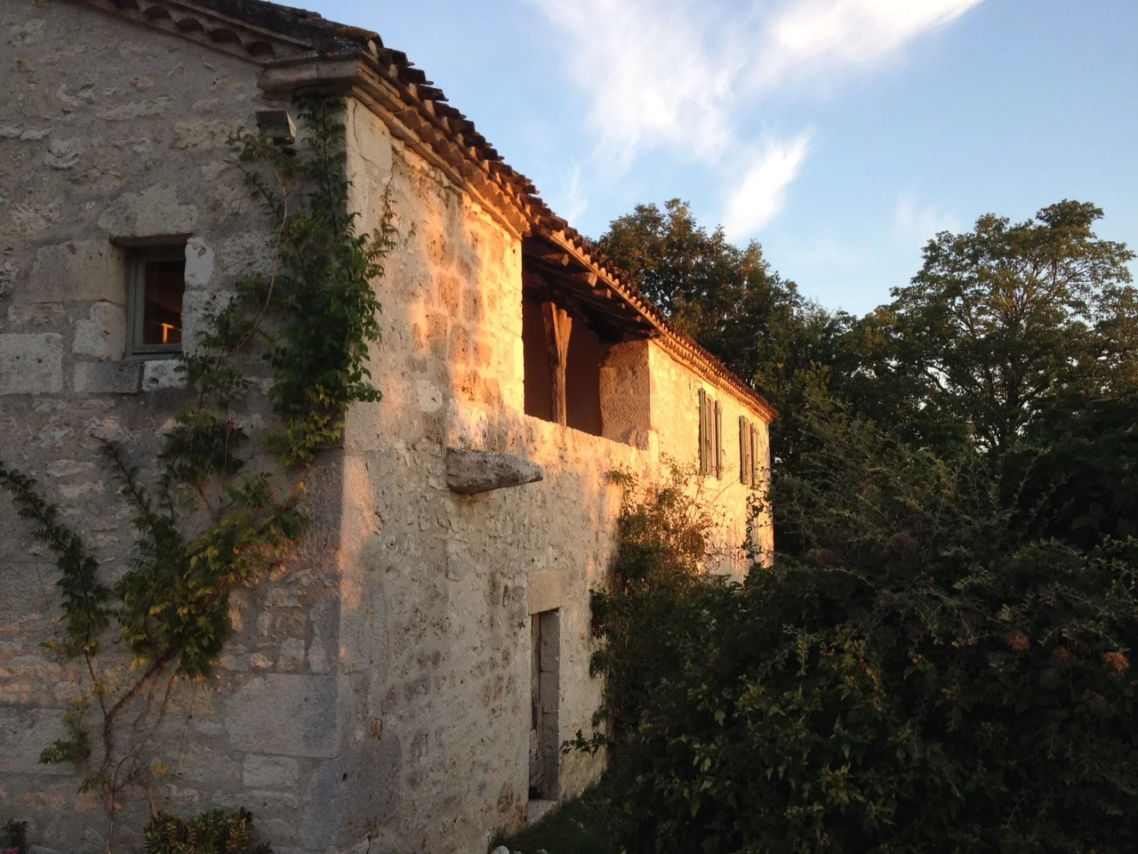 Early morning September sun. 