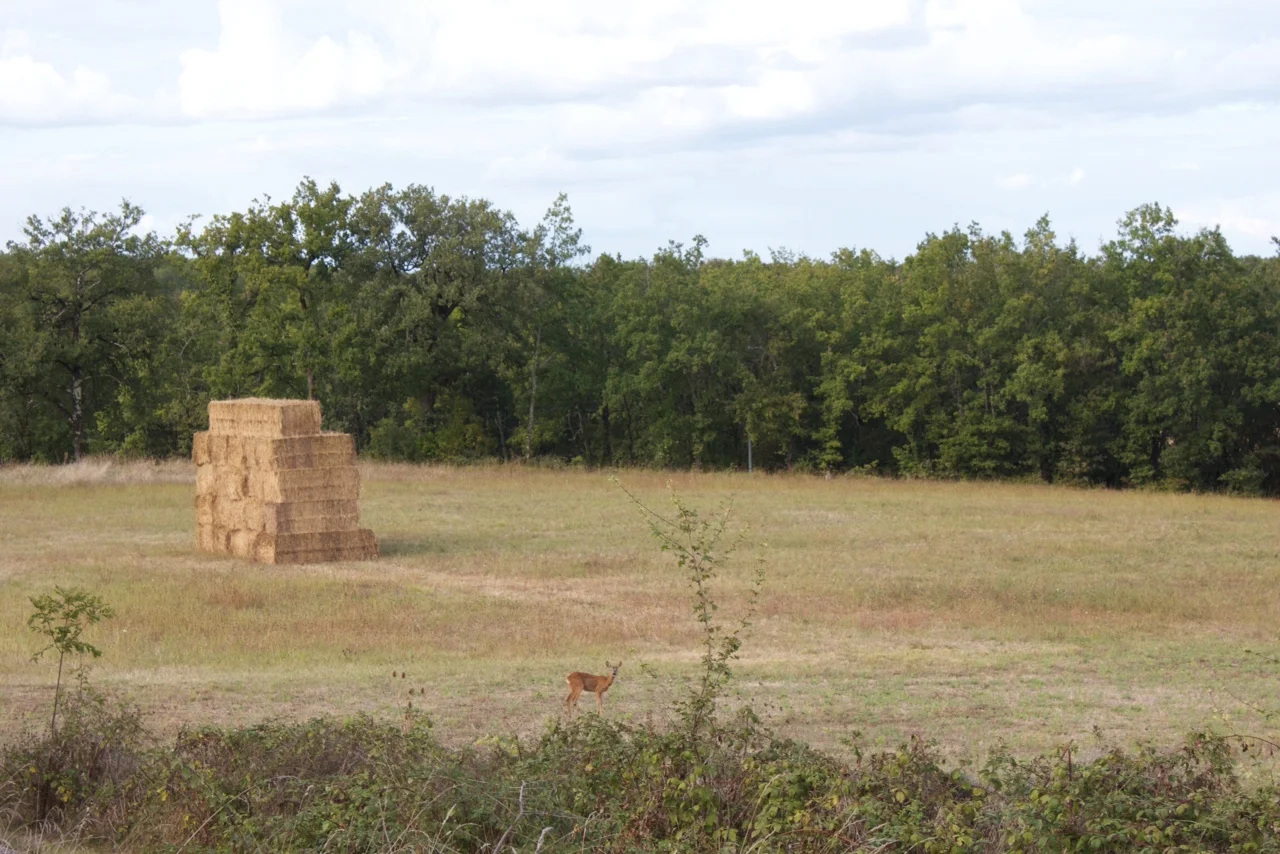 Brick bales. September 2016