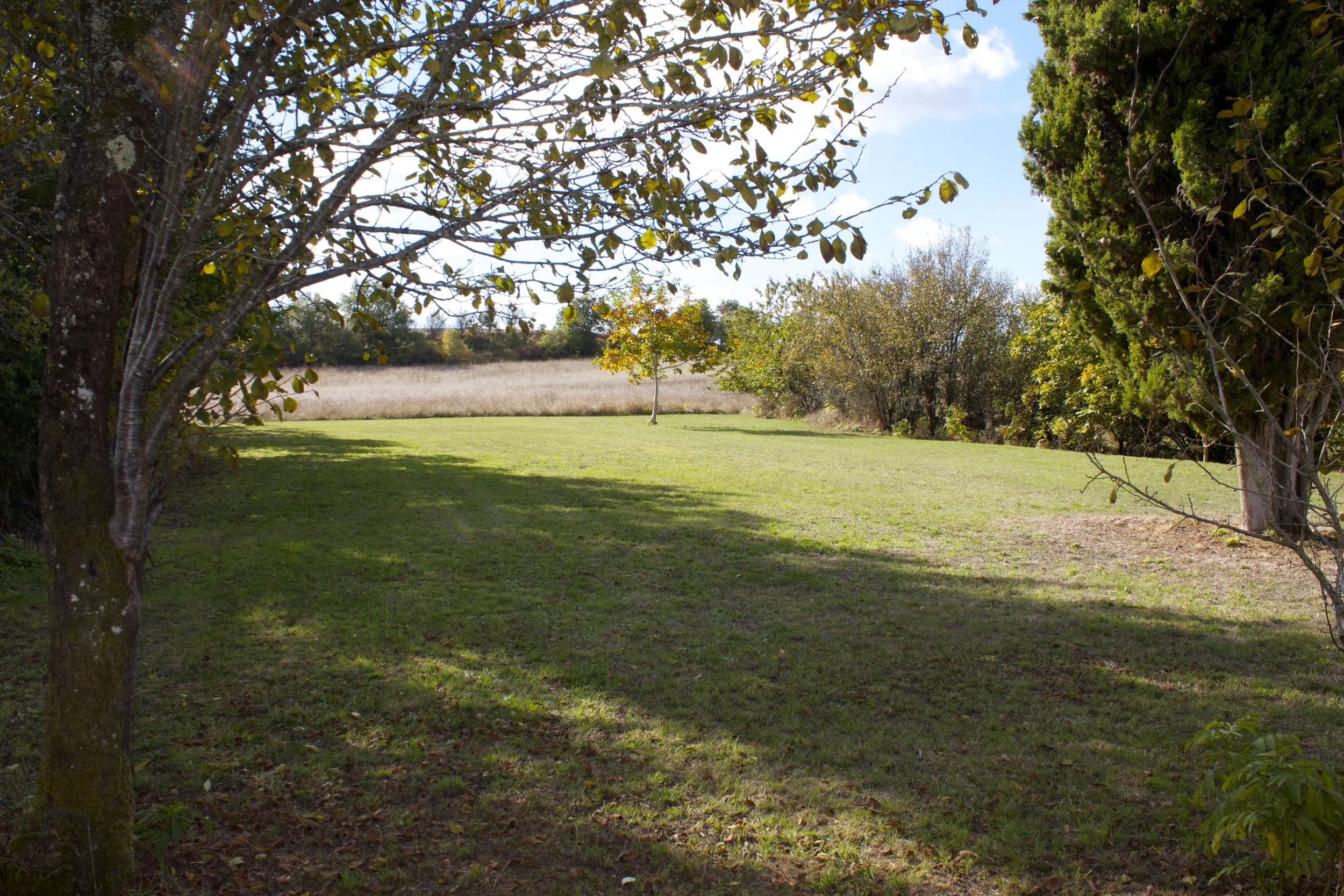 The Playing field, the other view.