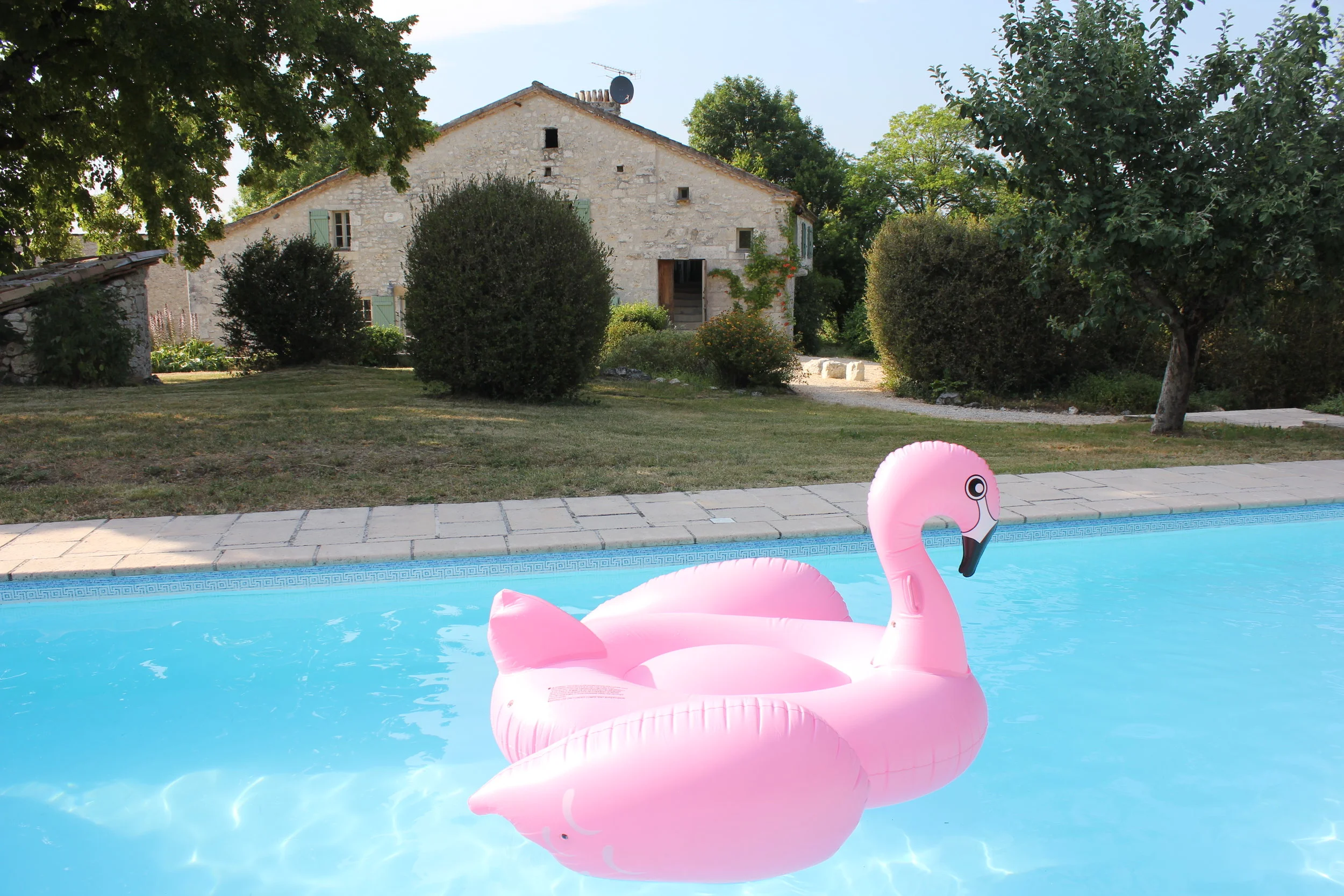 The Flamingo.......