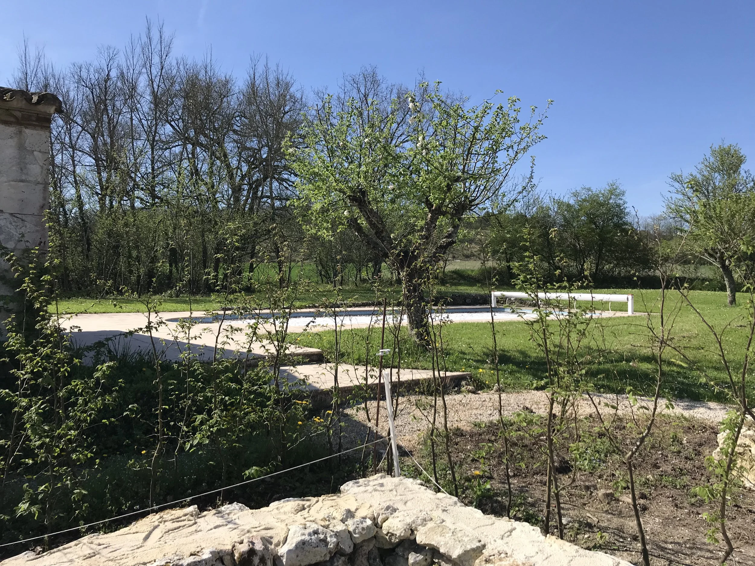 The hornbeam hedge begins to open and the lacy screen begins to grow. One last layer to go on the wall!