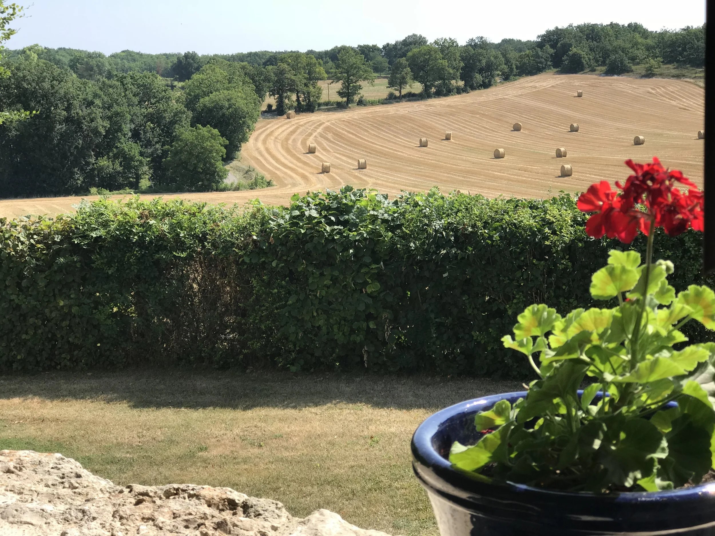 The Bolet view in July