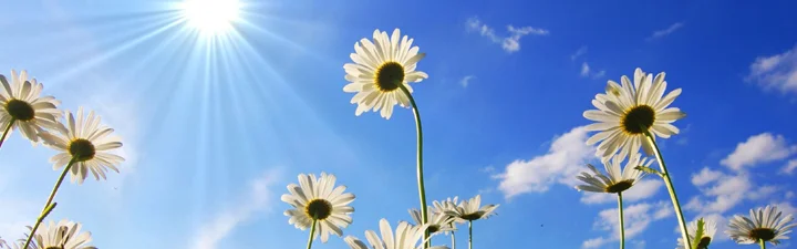 background - happiness-banner-1b2p39t.jpg