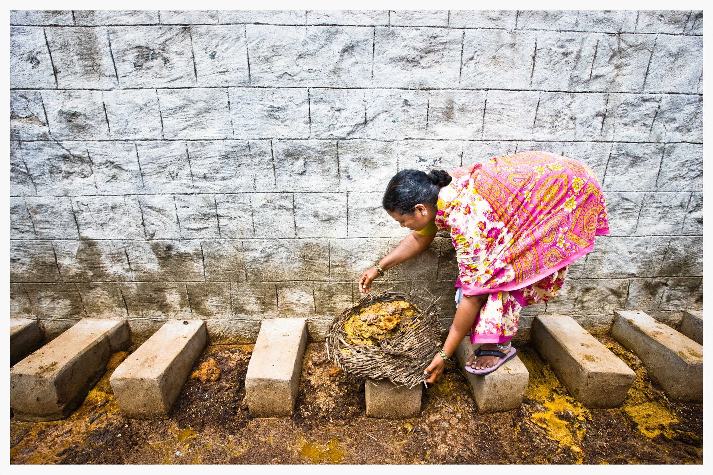 Manual scavenger, Indian Dalits, Being Untouchable. Photo: © Marcus Perkins