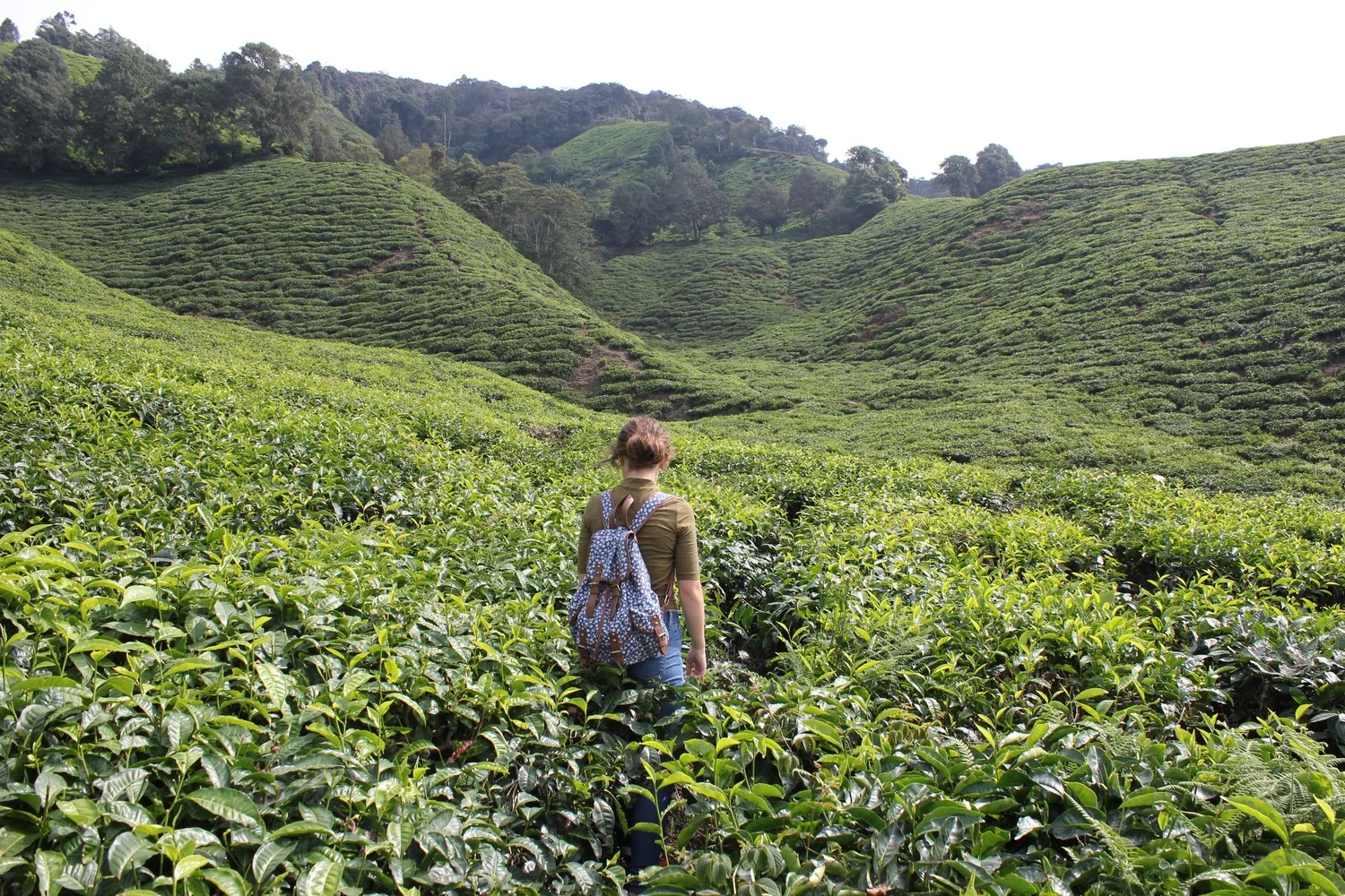 Backpacking essentials