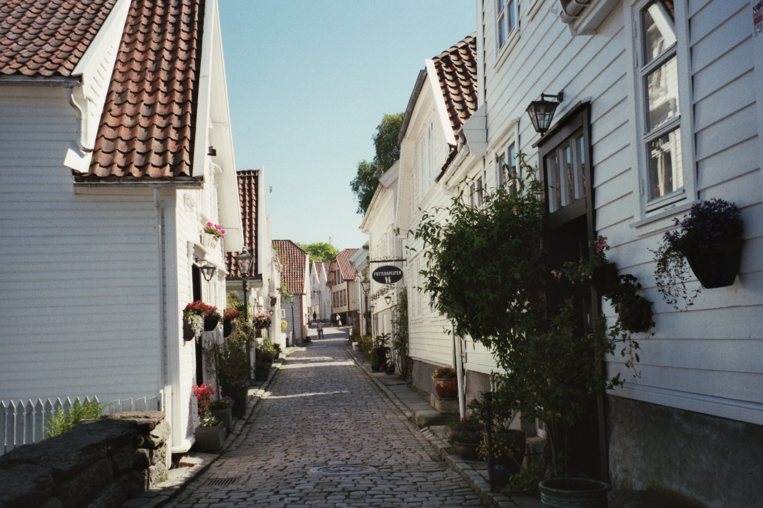 Summer captured on film