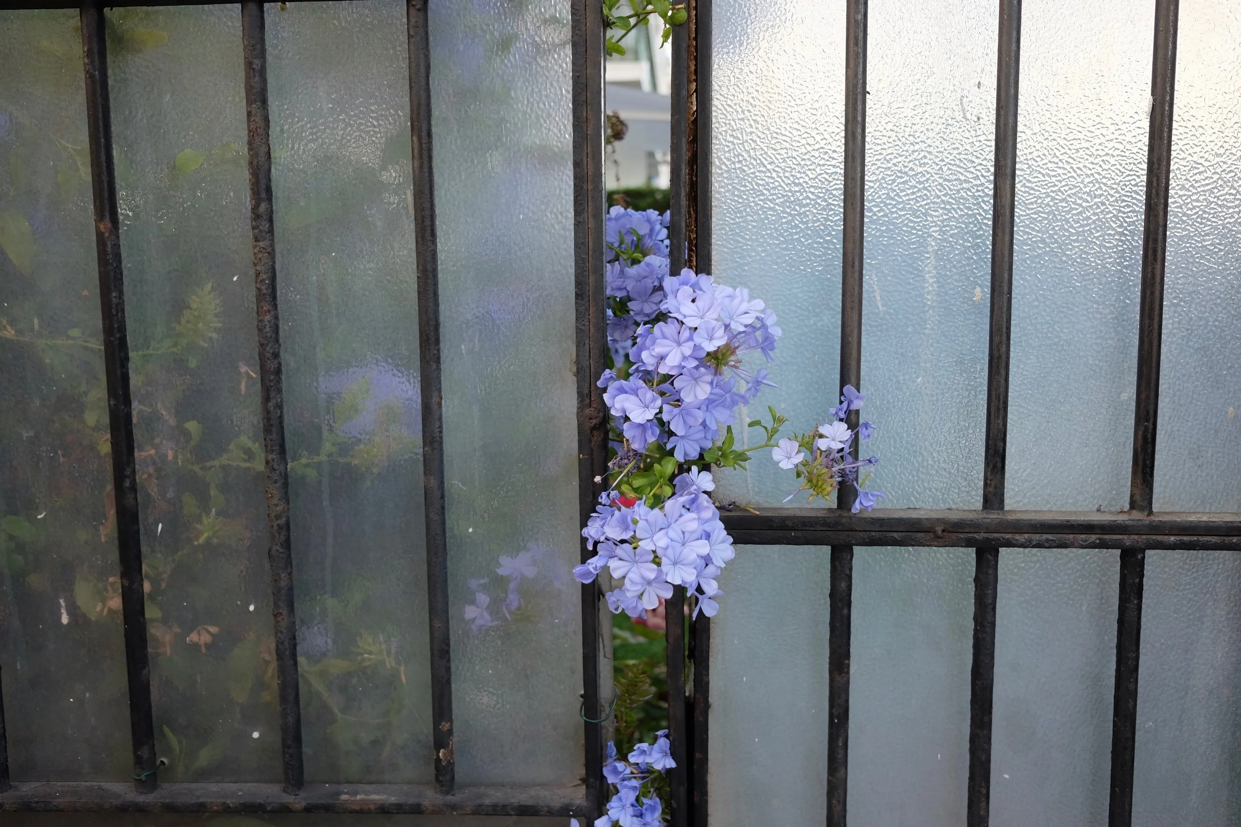 DSCF3987.jpg