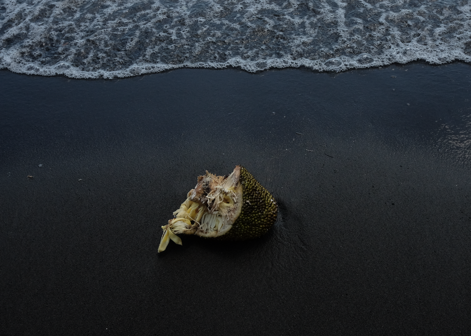Overwhelmed by climate change?