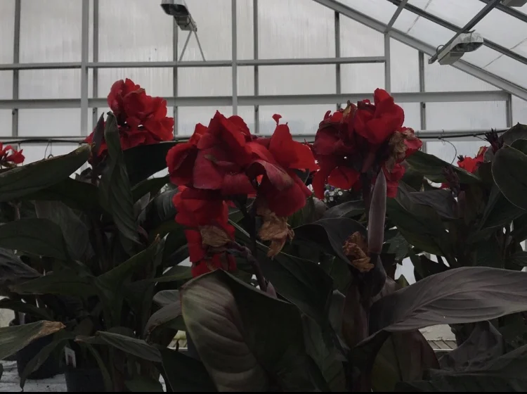 Sustainable v-day gift ideas